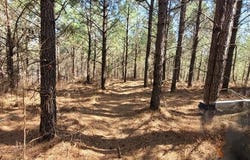 0 Lot 47 Saddleback Dr, DOVER, TN 37058