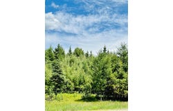 M95 Highway, Republic, MI 49879