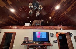 14557 Cat Holler Road, Ozark, AR 72949
