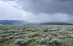 Tract 33 Monte Drive, Wisdom, MT 59761