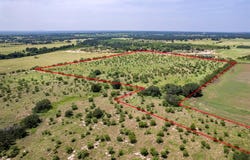 Tbd County Road 196, Bangs, TX 76823
