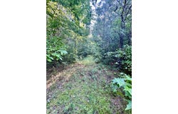 250 Mobley Crossing, Hodges, AL 35571