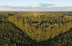 Barton Rd, Green Bay, VA 23942