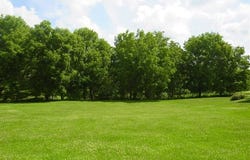 TBD FULTON Street, GALENA, IL 61036