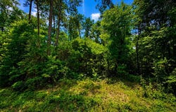 8.2 Acres Breland Road, McLain, MS 39456