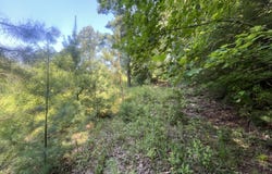 0 Blizzard Mines Road, Harriman, TN 37748