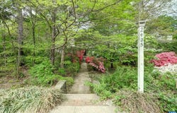 2425 JEFFERSON PARK AVE, CHARLOTTESVILLE, VA 22903