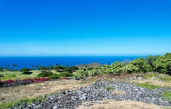 81-6654 MAPELE PL, Kealakekua, HI 96750