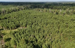 Tbd County Road 3121, Henderson, TX 75669