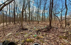 LOT 39 SPARROW WAY, AUGUSTA, WV 26704