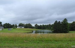 0 Tract 4 Bridgestone Estates, Harviell, MO 63945
