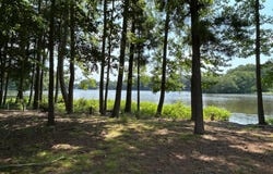13 LAKE CREST DRIVE, MILFORD, DE 19963