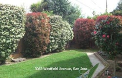 3063 Westfield AVE, SAN JOSE, 95128