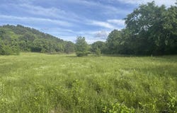 Tract 3 Jaymeson RD, Oden, AR 71961