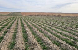 001 County Road, Wallace, KS 67761