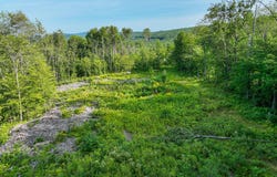 Swain Road, Rumford, ME 04276