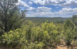 El Toro Way, Bon Carbo, CO 81082