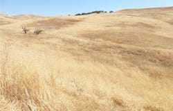0 Douglas Rd. (Lot 43), San Miguel, CA 93451
