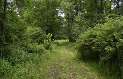 Whippoorwill Road, Cranberry, PA 16319