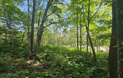xxxx State Highway 13, Washburn, WI 54891