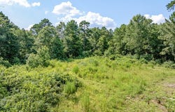 993 Dahlia Road, Gilmer, TX 75644