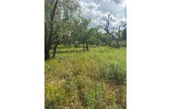 Oak Ct St, Fredonia, TX 76842
