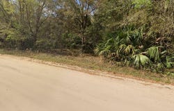 ANNETTE AVENUE, INTERLACHEN, FL 32148