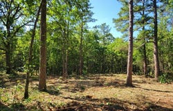 000 Fossil Cove Road, Cape Fair, MO 65624