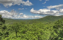 Menagerie Ridge, Epworth, GA 30541