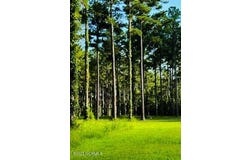 96 278 Dawson Creek Blvd lot: 96, Oriental, NC 28571