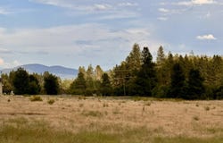 6311 W Herman Rd, Deer Park, WA 99006
