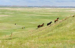 24900 Spring Draw Road, Senic, SD 57780