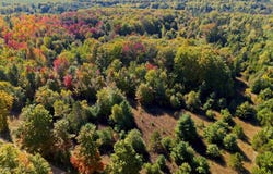 Shively Road, Fife Lake, MI 49633