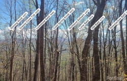 Skyline Drive, Waynesville, NC 28786