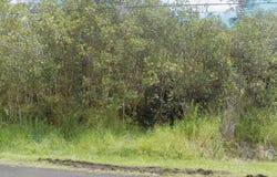 HAUMALU ST, Volcano, HI 96785