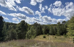 274 Co Rd 510, Negaunee, MI 49866