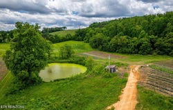 Greenlee Rd, Rutledge, TN 37861