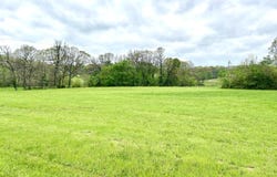 367 Knightsway, Billings, MO 65610