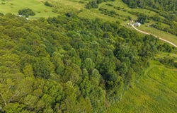 0 Gravley Valley Road, Eidson, TN 37731