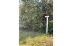 Mims Road, Chunchula, AL 36521