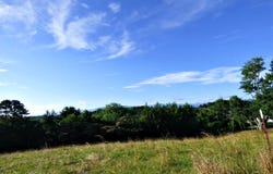 Lot 13f Sunnydale Circle, Dandridge, TN 37725