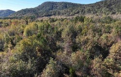 TBD Highway 375 East  (Lot4), Mena, AR 71953