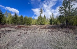 7XX OLD ARDEN HWY, COLVILLE, WA 99114