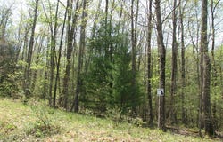 173 ST. PATRICK LANE, DANIELS, WV 25832