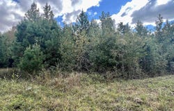 Hwy. 49, Brookland, AR 72417-0000