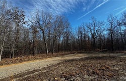 2419 Ripley Rt. BB, Fairdealing, MO 63939