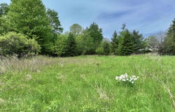 Lot 3 1st S Avenue, Park Falls, WI 54552