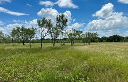 38 White Wing Circle, Blanket, TX 76432
