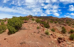 LOT 2C1 , LANDS OF BABCOCK, Jemez Pueblo, NM 87024