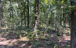 000 Elk Head Road, Bland, MO 65014